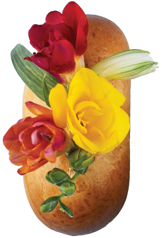 agence design food and beverage