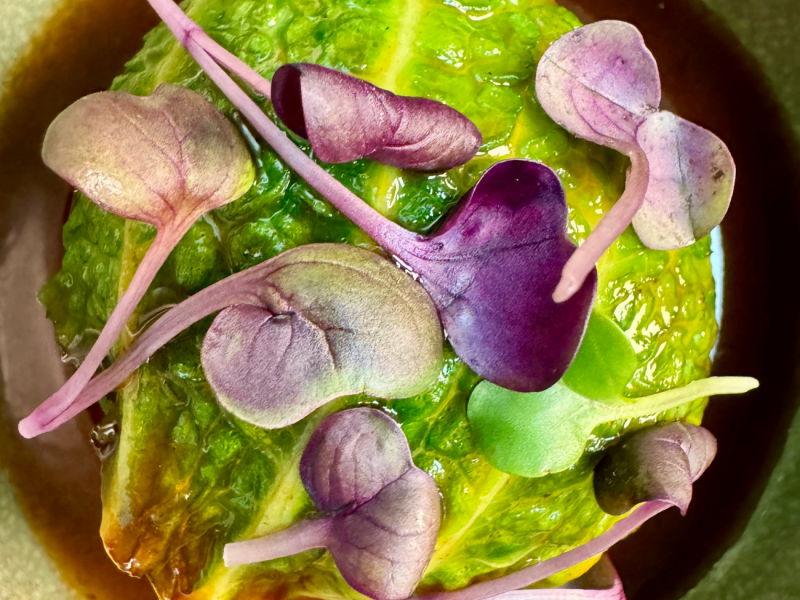 agence de communication food